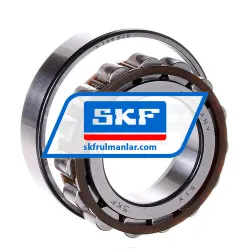 SKF N209ECP rulman resim 2