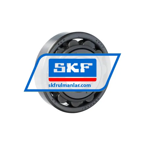 SKF N411/R899