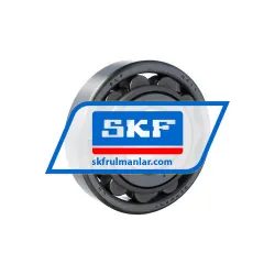 SKF N411/R899