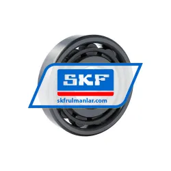 SKF N411/R899 rulman resim 2