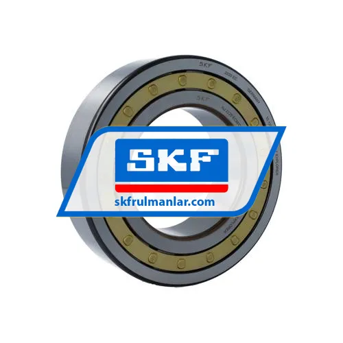 SKF NJ2220ECM/C3