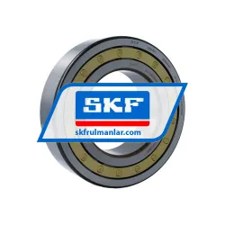 SKF NJ2220ECM/C3