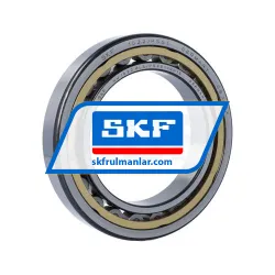 SKF NU1022MLS/P54S1VQ015