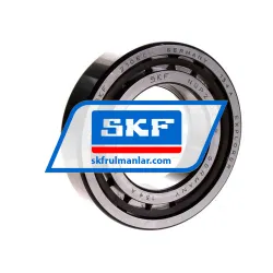 SKF NUP210ECP