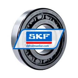 SKF NJ319ECJ/C3