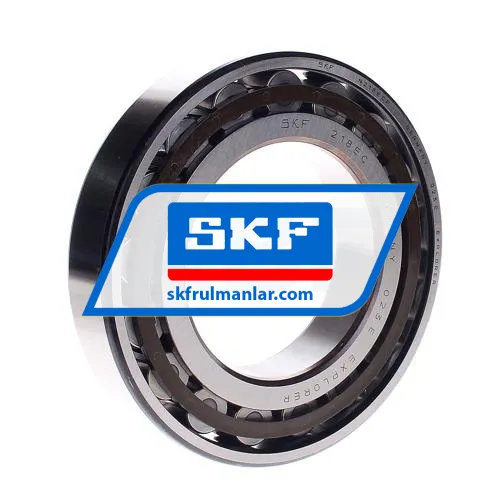 SKF N218ECP