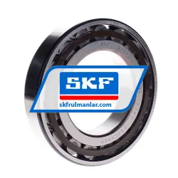 SKF N218ECP