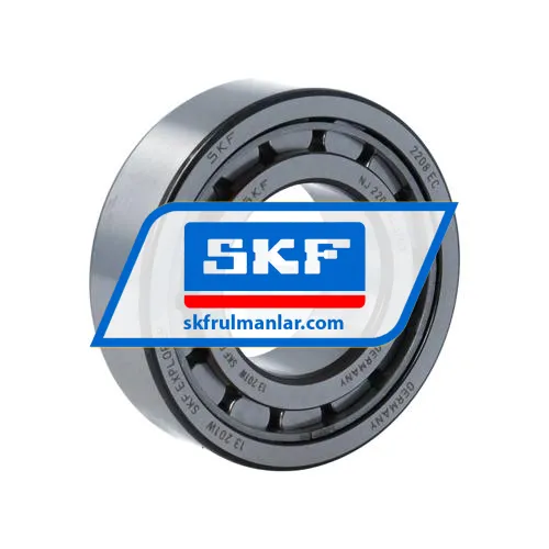 SKF NJ2208ECJ/C3