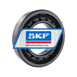 SKF NU221ECP