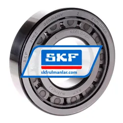 SKF NJ311ECJ