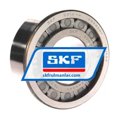 SKF NJG2313VH/C3