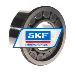 SKF NJG2313VH/C3 rulman resim 2