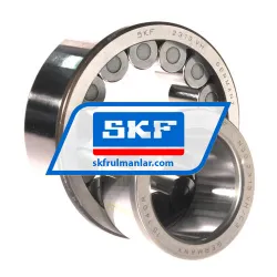 SKF NJG2313VH/C3 rulman resim 3