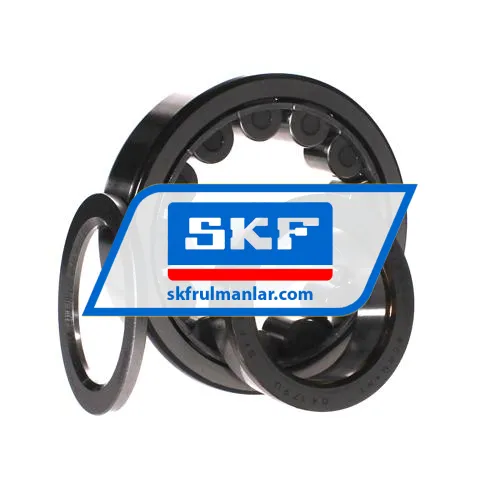 SKF NUP313ECJ ürün fotoğrafı 3