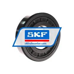 SKF NUP313ECJ