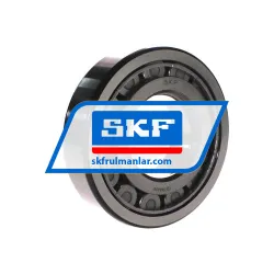 SKF NUP313ECJ rulman resim 2