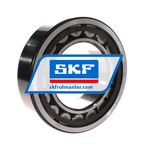 SKF NU2219ECP