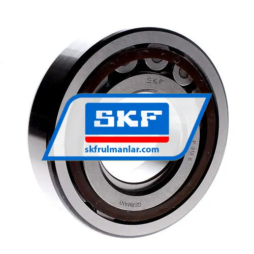 SKF NUP313ECP ürün fotoğrafı 3