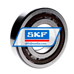 SKF NUP313ECP