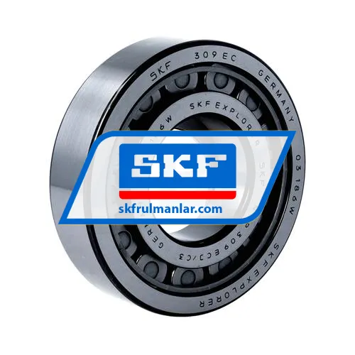 SKF NUP309ECJ/C3