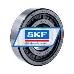SKF NUP309ECJ/C3