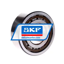 SKF NJ2311ECP