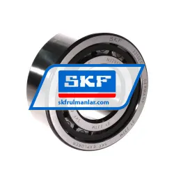 SKF NJ2310ECP