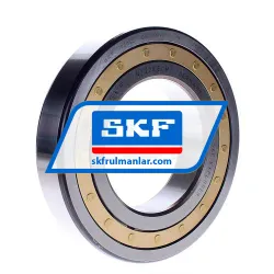 SKF NJ220ECM
