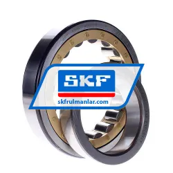 SKF NJ220ECM rulman resim 2