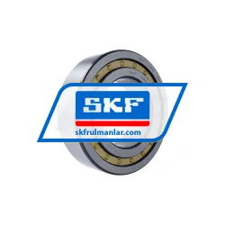 SKF NJ2230ECM