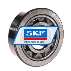 SKF NU410/C3