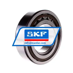SKF NUP2220ECP