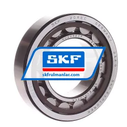 SKF NU209ECP