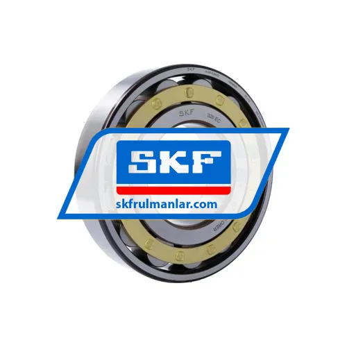SKF N320ECM/C3