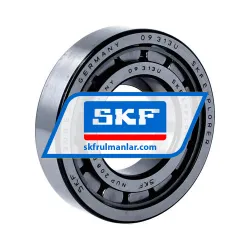SKF NUP208ECJ