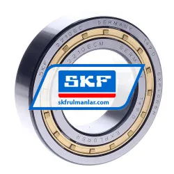 SKF NJ2210ECM