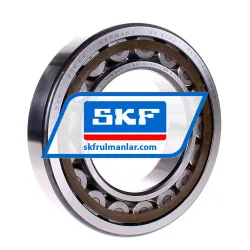 SKF NU219ECP
