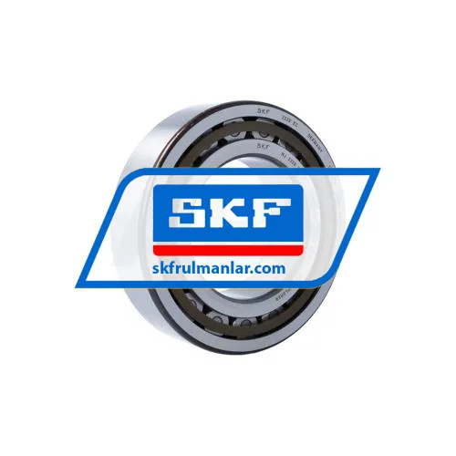 SKF NJ2220ECP/C3