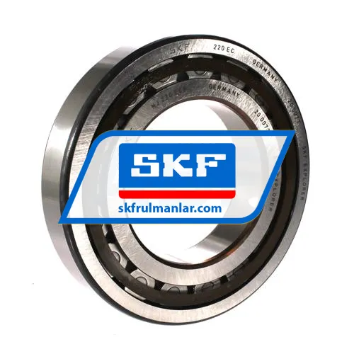 SKF NJ220ECP