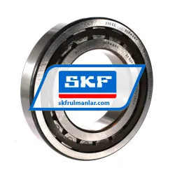 SKF NJ220ECP