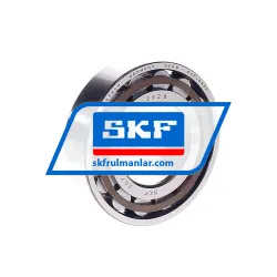 SKF N207ECP