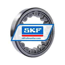 SKF RNU220ECJ