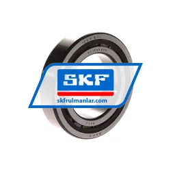 SKF NJ1009ECP