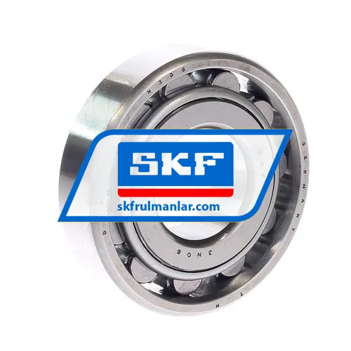 SKF N306
