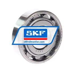 SKF N306