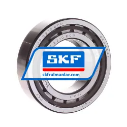 SKF NUP2210ECP