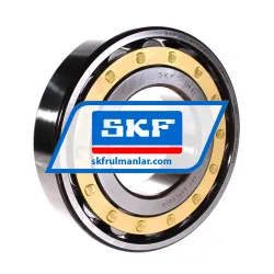 SKF N319ECM/C3