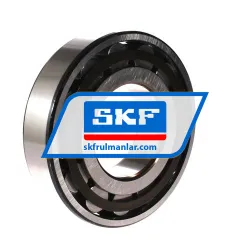 SKF N316ECP/C3 rulman resim 2