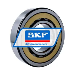 SKF NJ315ECM/C4VA301 rulman resim 2