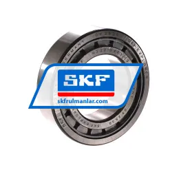 SKF NJ2210ECJ/C3